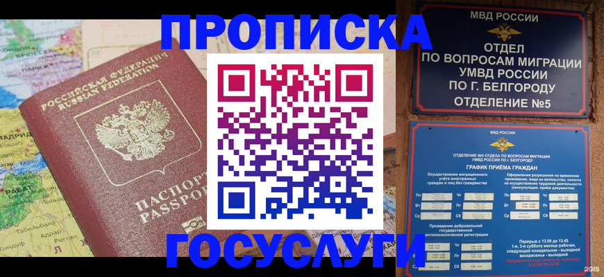 прописка регистрация в Торопеце